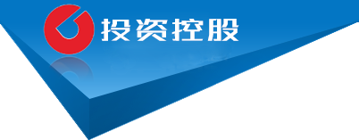 V体育集团有限公司