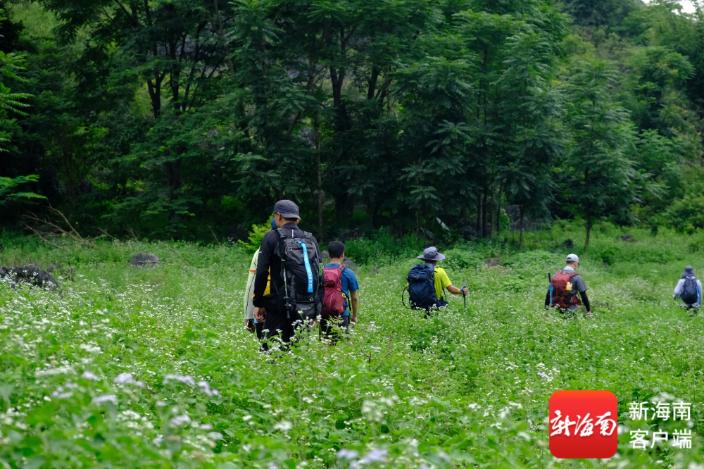 万宁上榜国庆假期“学艺式旅行”培训热门目的地Top10(图3)